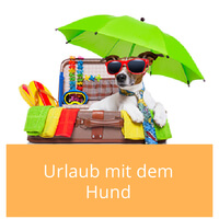 Hundeurlaub