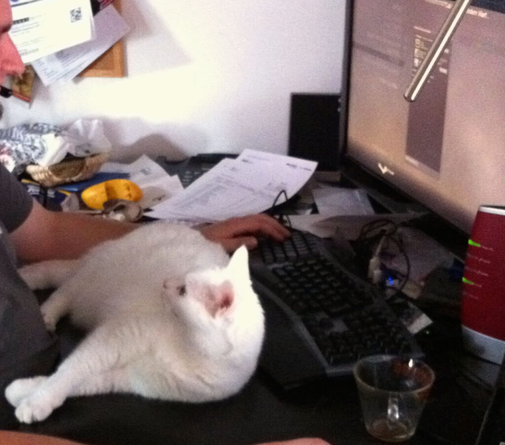 Sebastian in seinem Element mit seinem mittlerweile verstorbenen Kater Tobi.