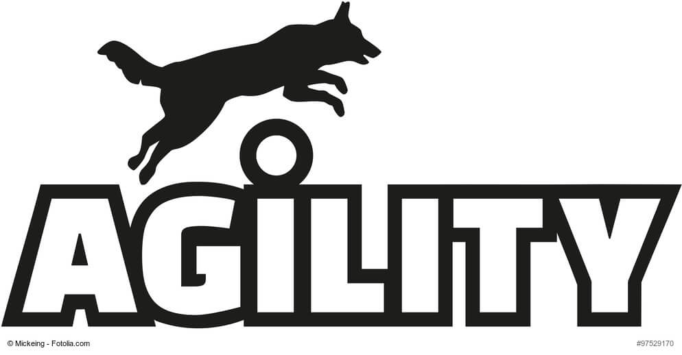 Schriftzug Agility über das ein Hund springt