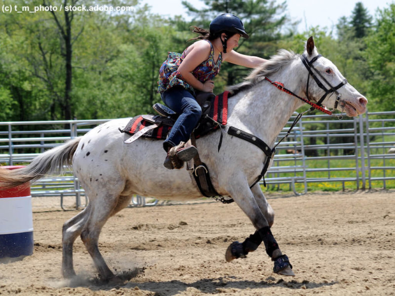 Appaloosa Western reiten
