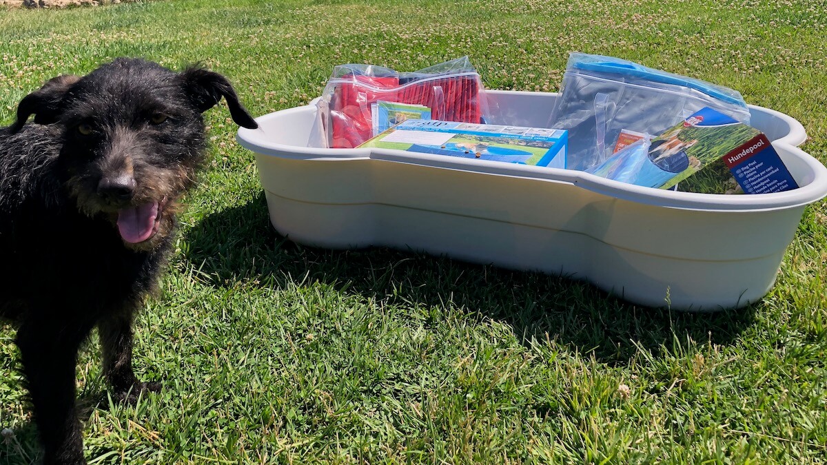 Wir haben verschiedene Hundepools getestet.