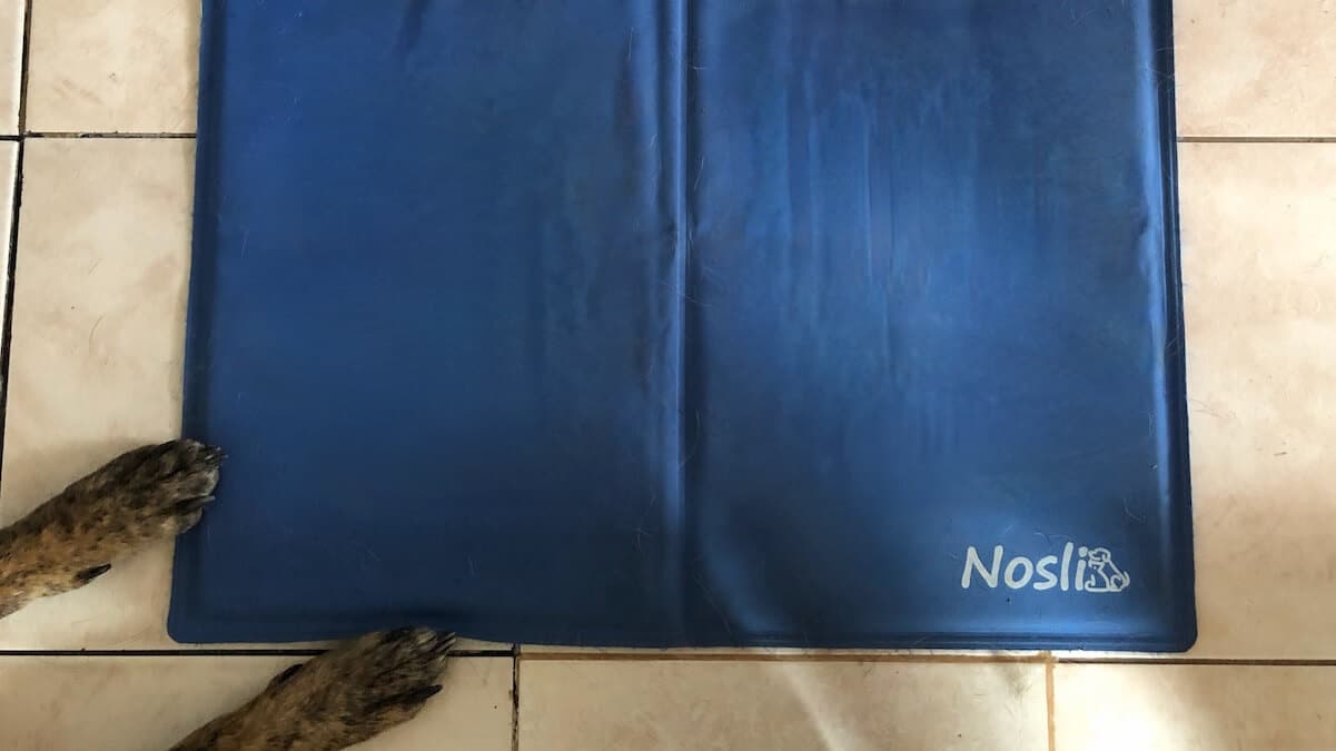 Kühlmatte von Nosli im Test im Sommer 2021