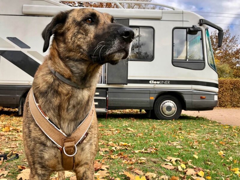 Castro Laboreiro Wohnmobil