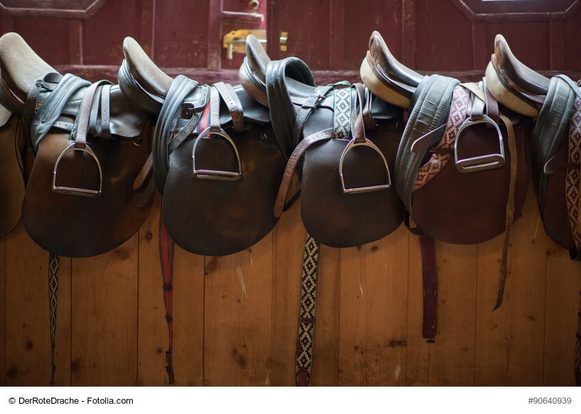 Der richtige Sattel für mein Pferd