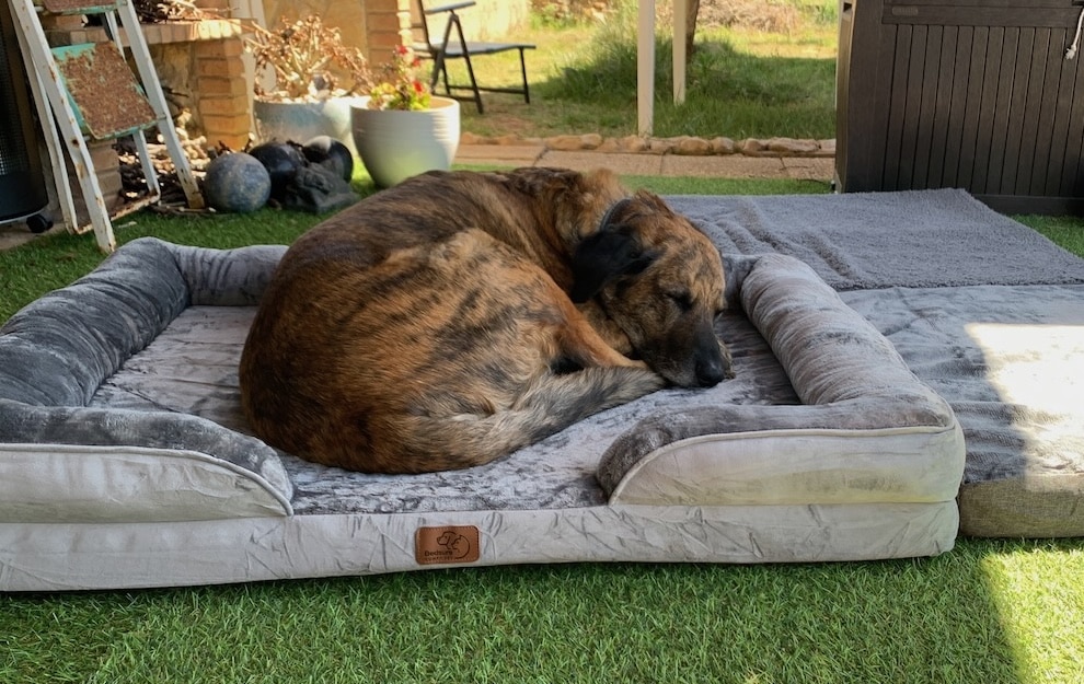 ergonomisches Hundesofa von Bedsure