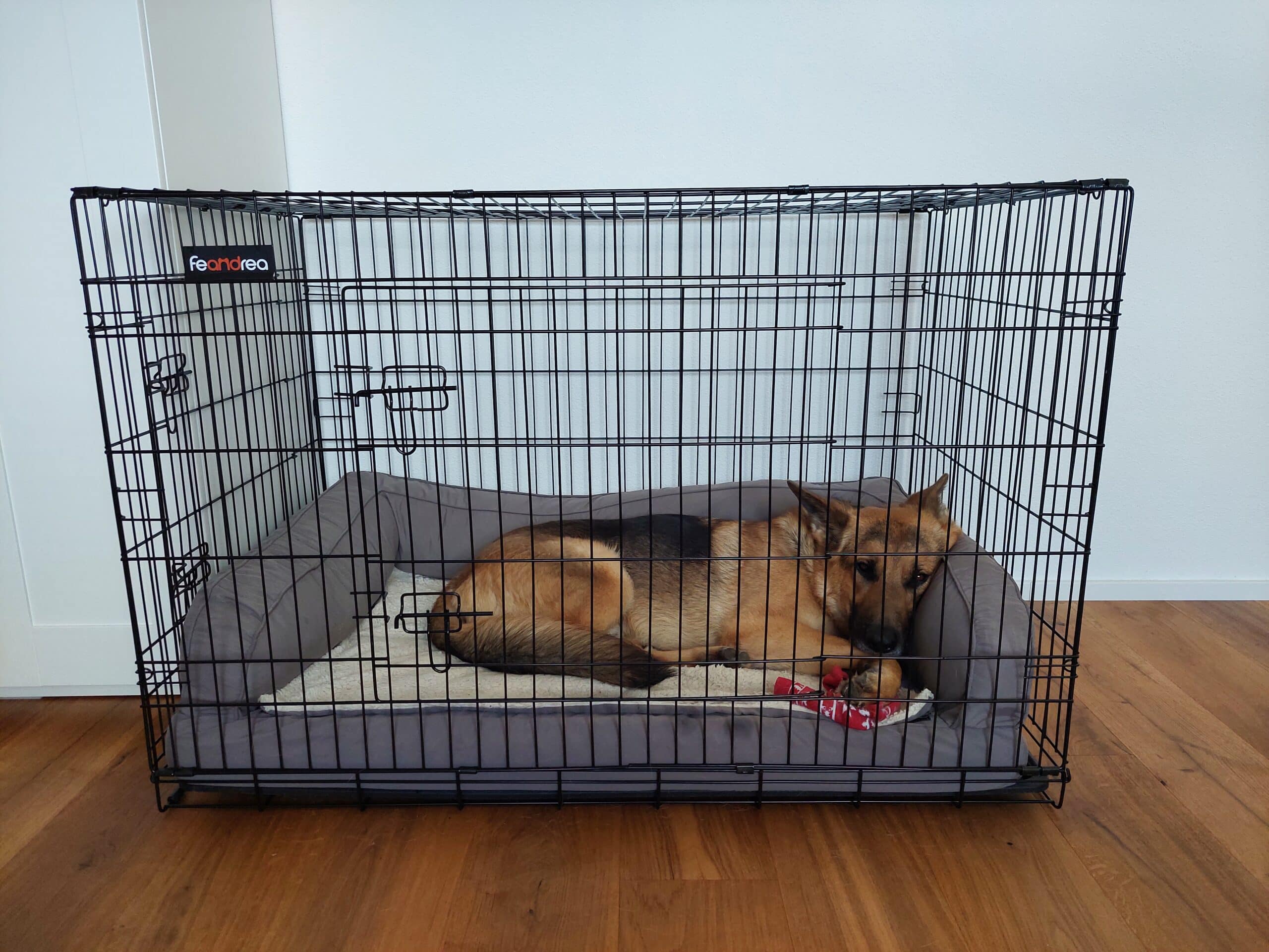 Feandrea Gitterbox Samu