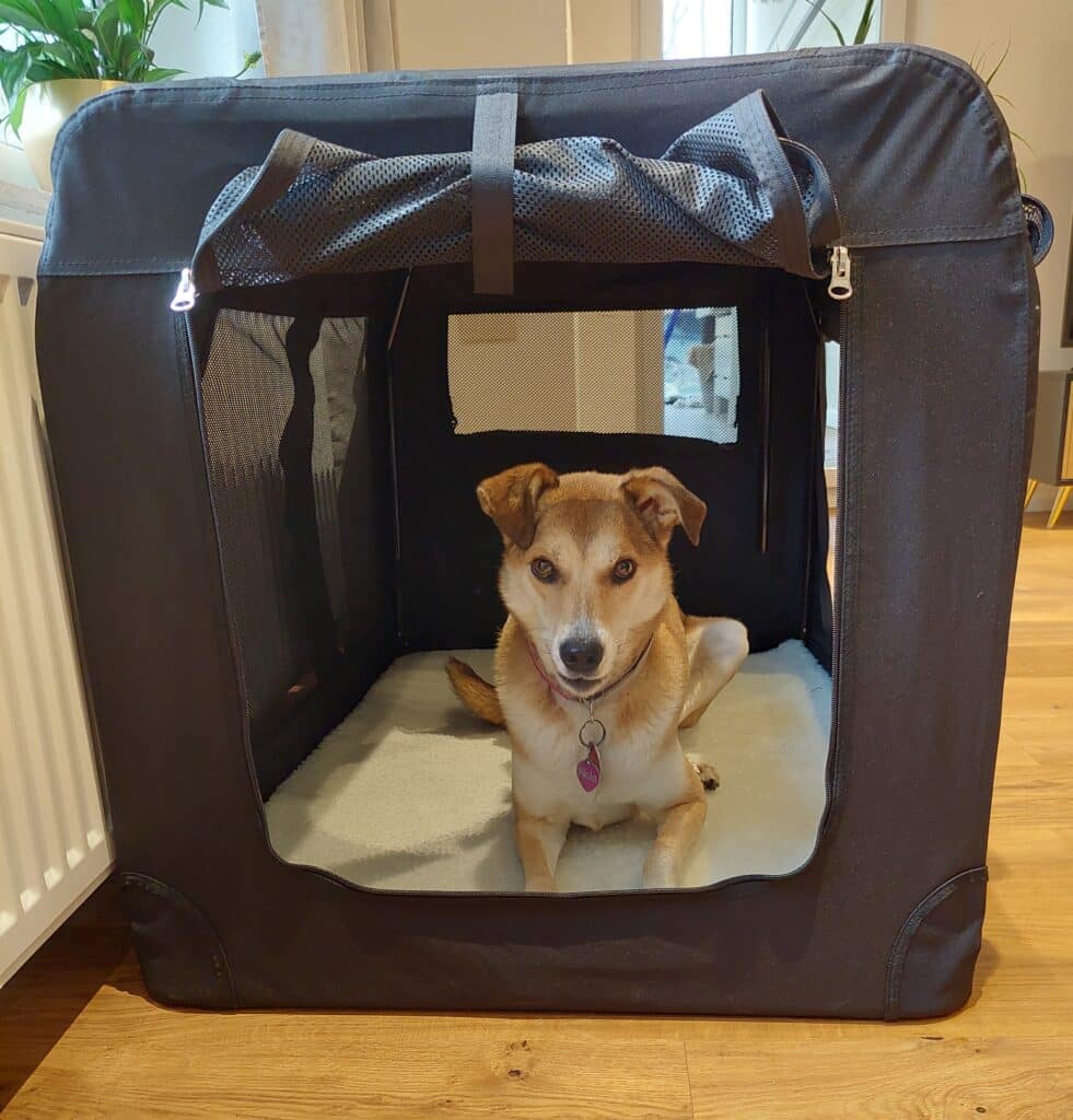 Feandrea Transportbox Nala