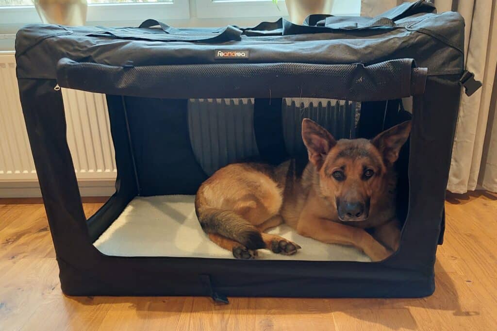 Feandrea Transportbox Samu