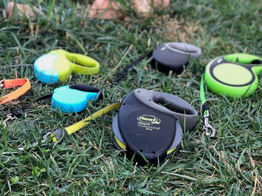 Verschiedene Rollleinen und Flexileinen liegen nebeineinander auf einer Wiese. Beschriftung lautet: Was beim Kauf einer Rollleine, oft Flexileine genannt, zu beachten ist, kannst du hier nachlesen.