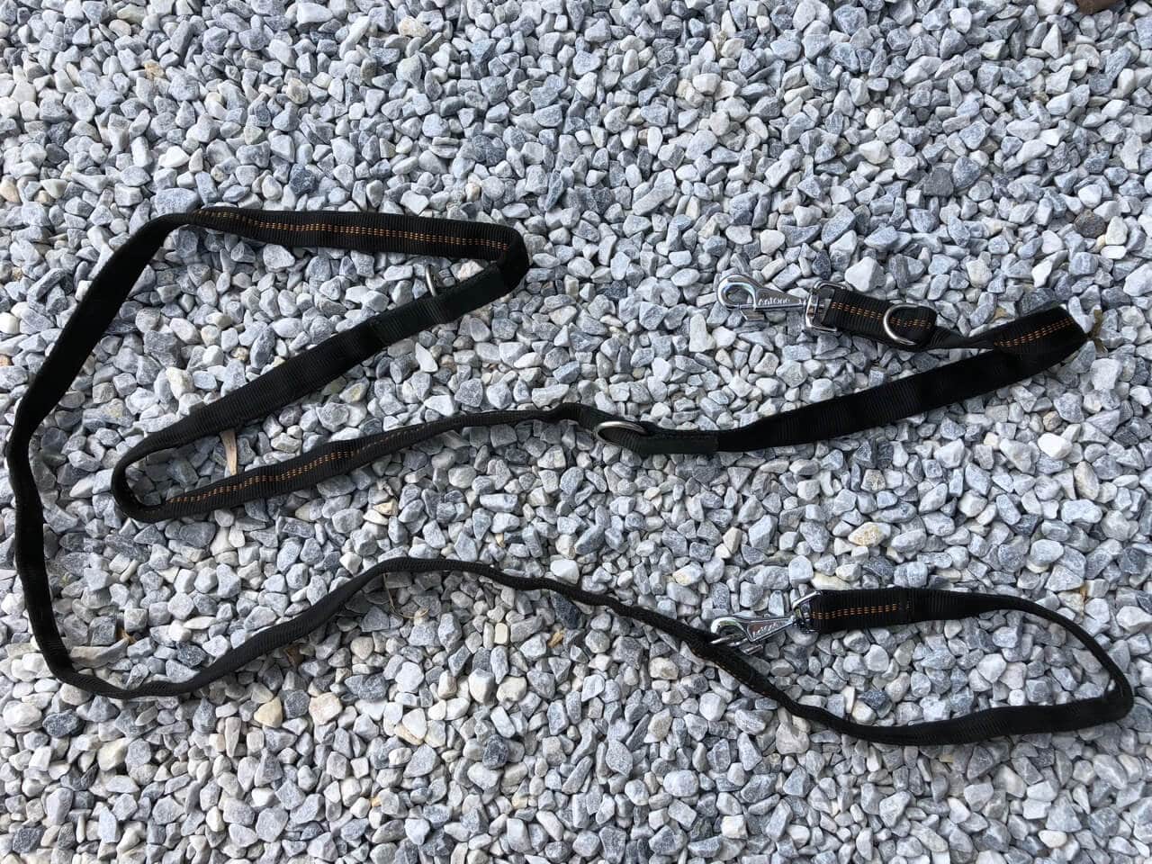 AniOne Führleine Test