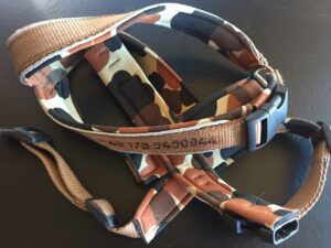 besticktes Hundegeschirr mit Telefonnummer.