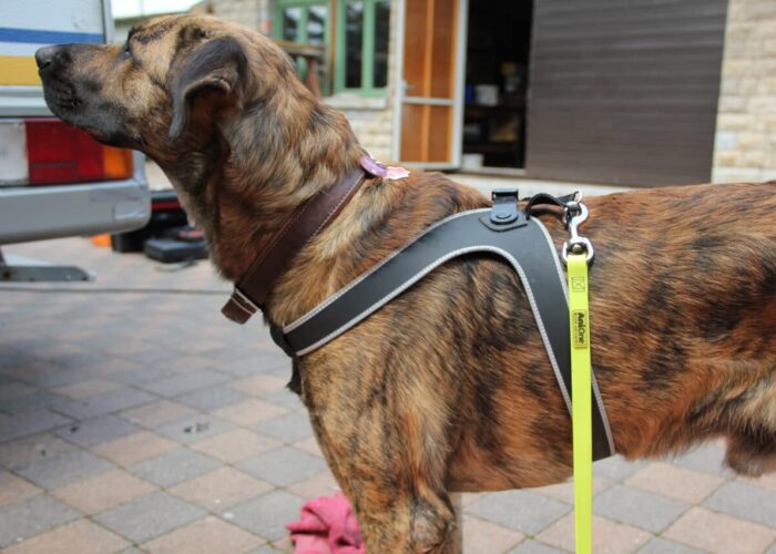 Tre Ponti „Easy Fit Micro Trim Serie TP540“ mit Ratschenverschluss im Test