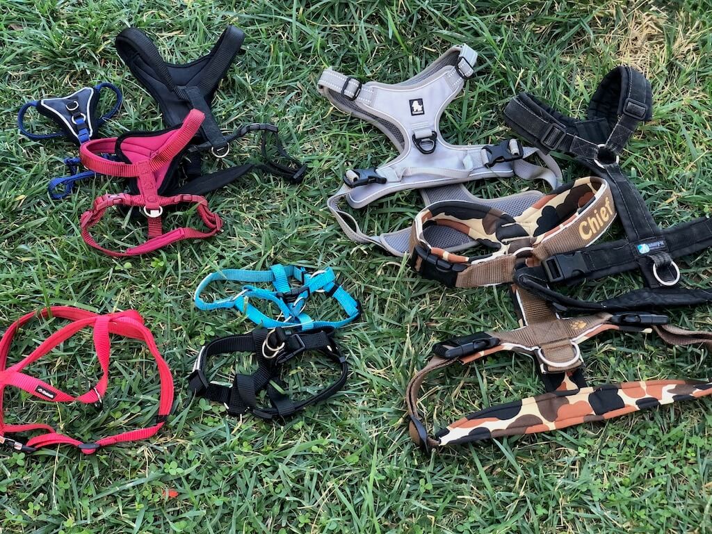 Verschiedene Formen, Farben und Größen von Hundegeschirren liegen auf einer Wiese. Die Beschriftung lautet: Es gibt verschiedene Formen von Hundegeschirren. Egal für welches du dich entscheidest: es sollte gut sitzen und deinen Hund nicht einschränken.