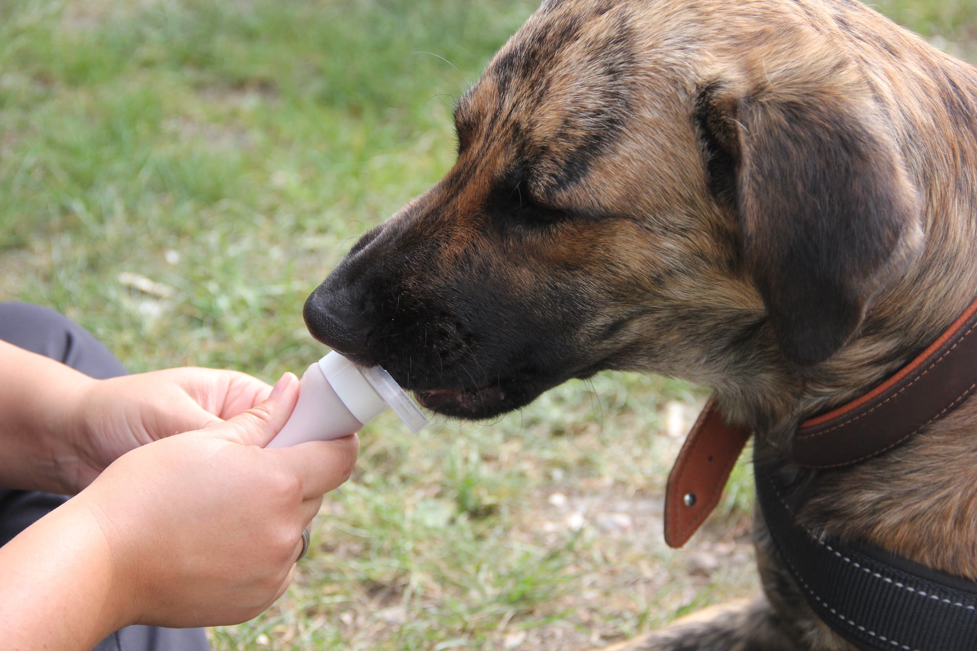 Goodys Schleckterube im Test