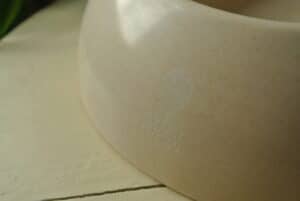 Green Petfood im Test: Napf mit Logo