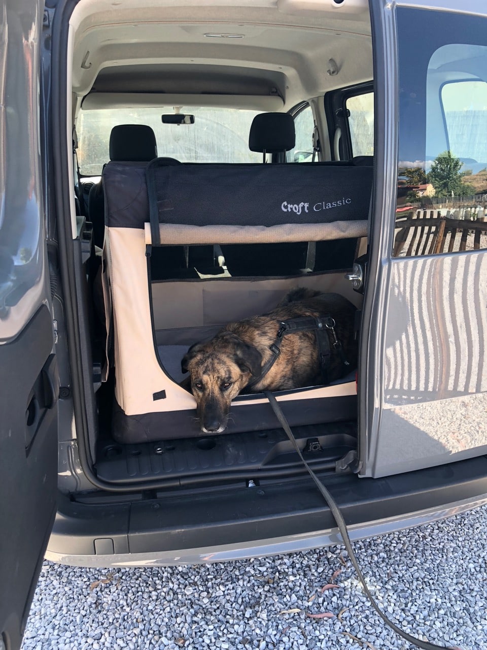 Ein Hund liegt in einer faltbaren Transportbox im Kofferraum eines Kleinbusses bei dem eine Kofferraumtür geschlossen ist. Beschriftung lautet: Hundeboxen fürs Auto gibt es in verschiedenen Variationen.