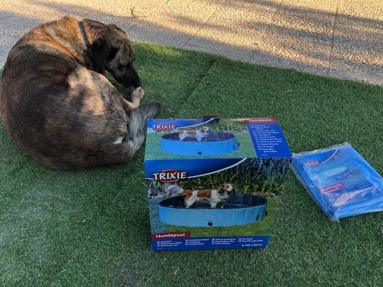 Hundepool von Trixie mit Abdeckung im Test.