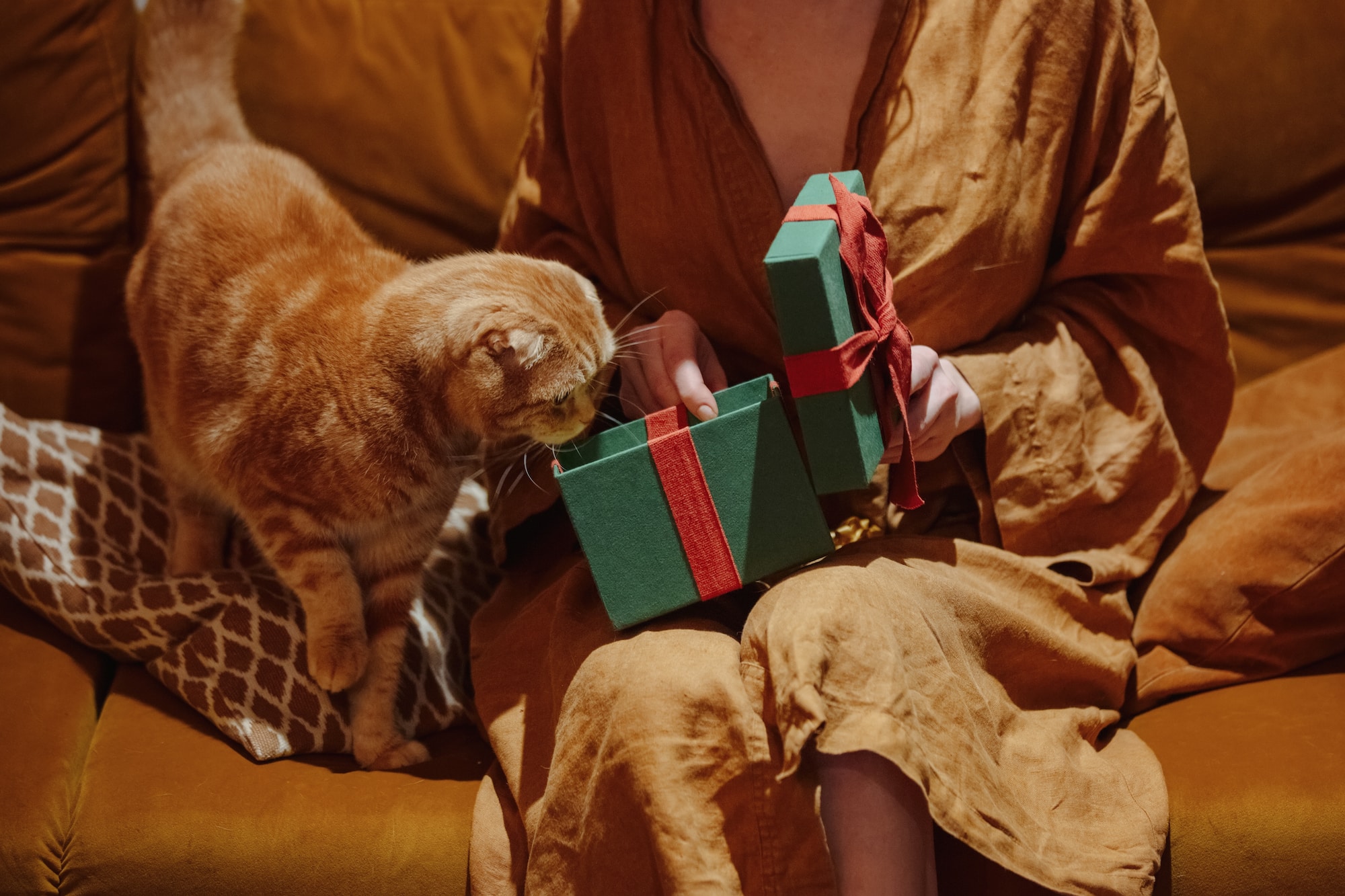 Unsere Ideen für Geschenke für Katzenliebhaber