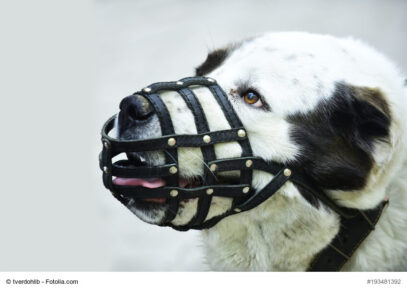 Leder-Maulkorb mit hechelndem Hund