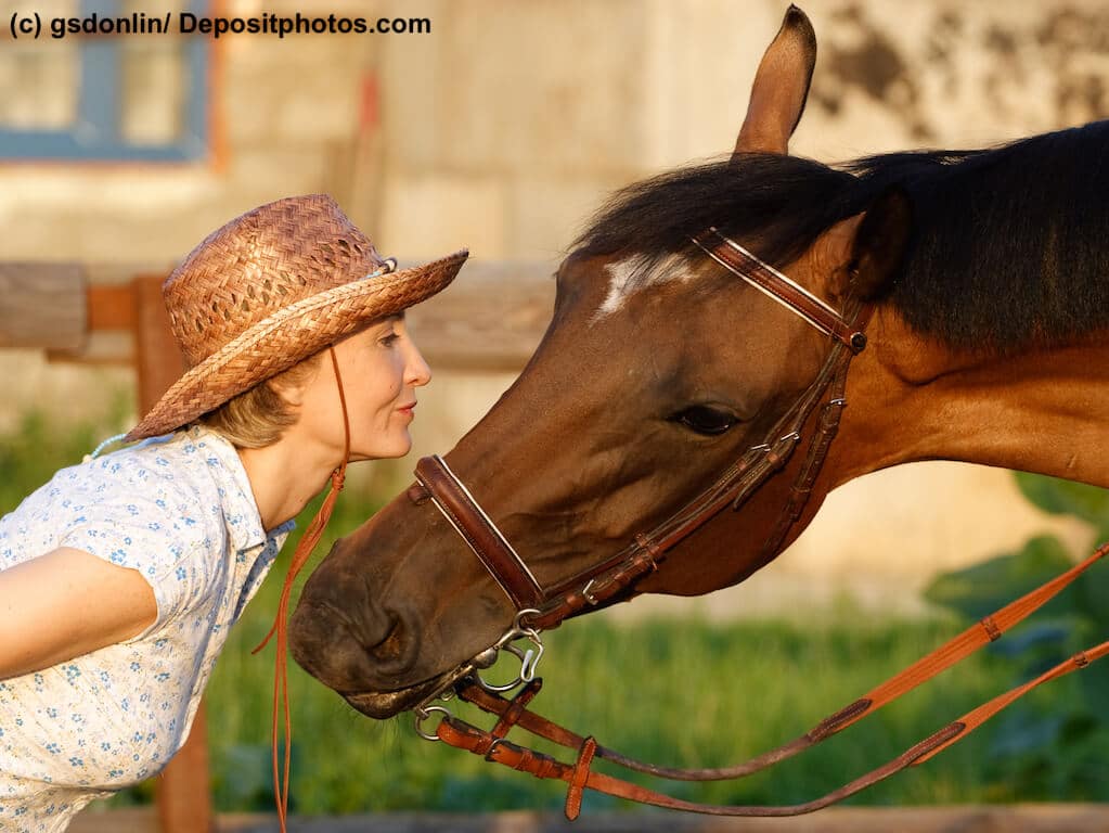 Pferdediebstahlversicherung