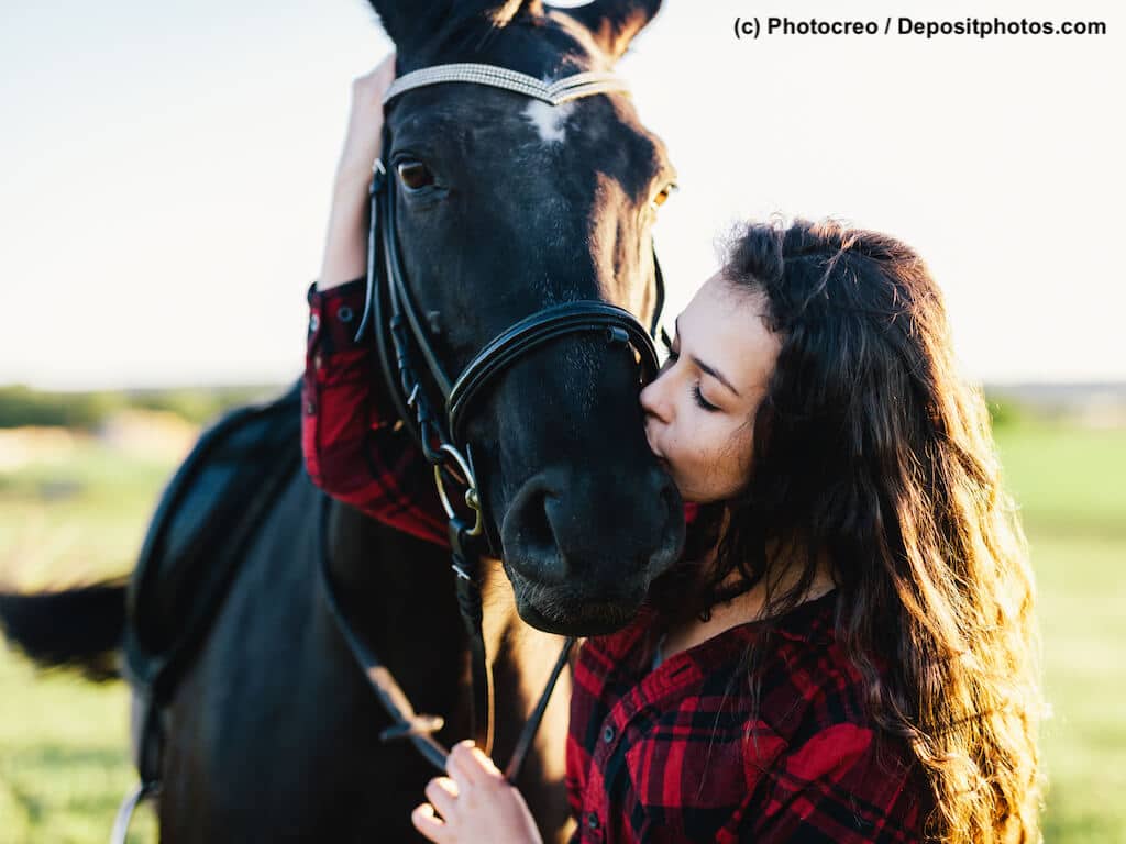 Pferdelebensversicherung
