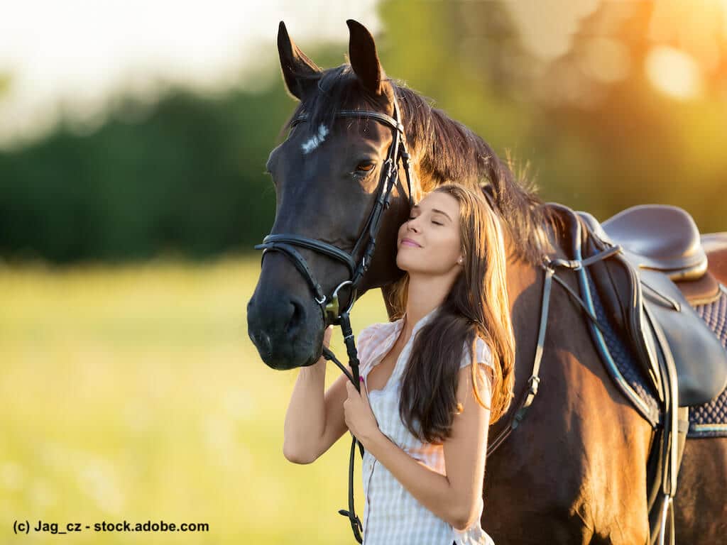 Pferdevollkasko, Informationen zum Versicherungsschutz