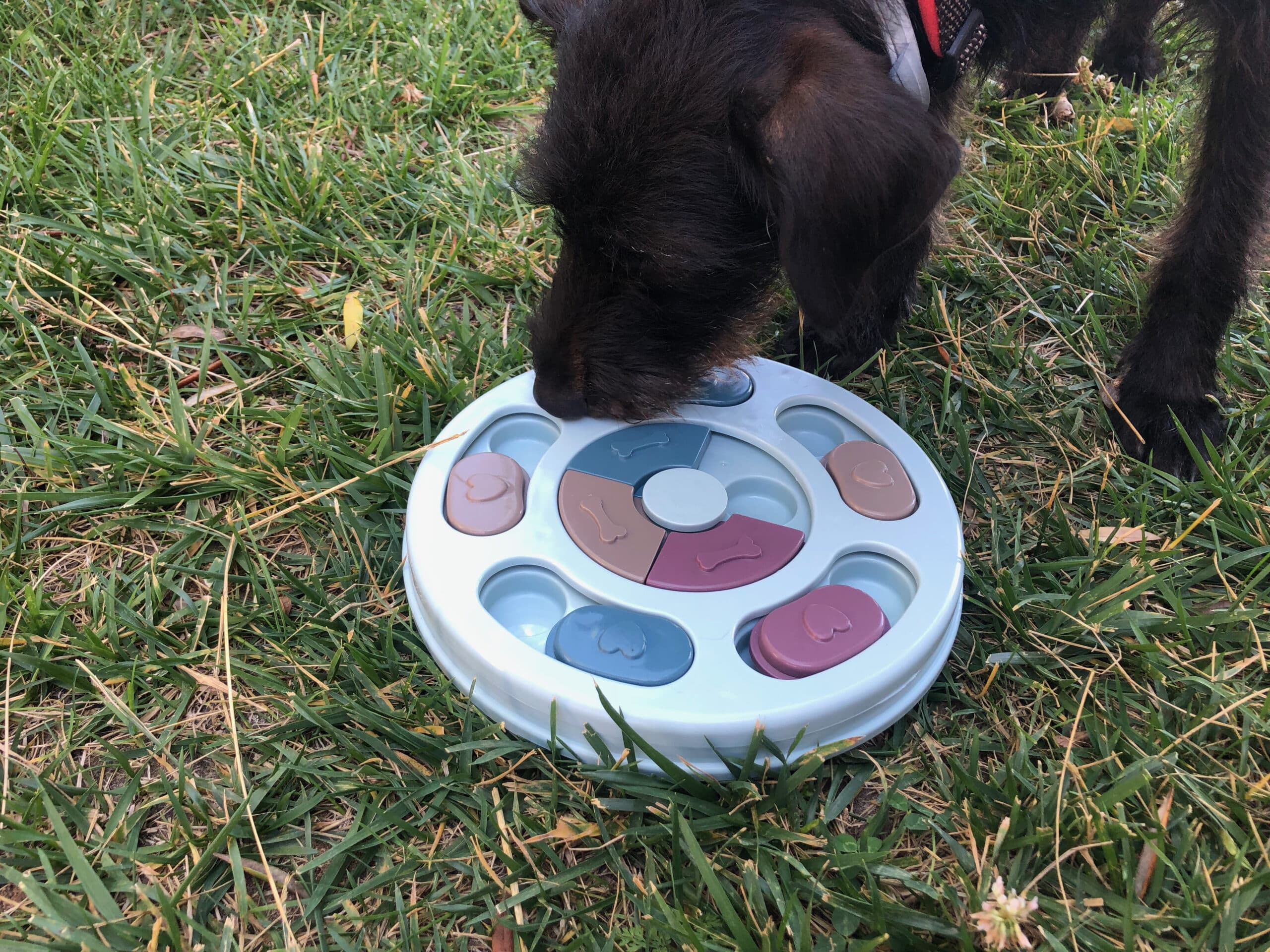 Anti-Rutsch-Puzzle-Spielzeug von Elezenioc im Test