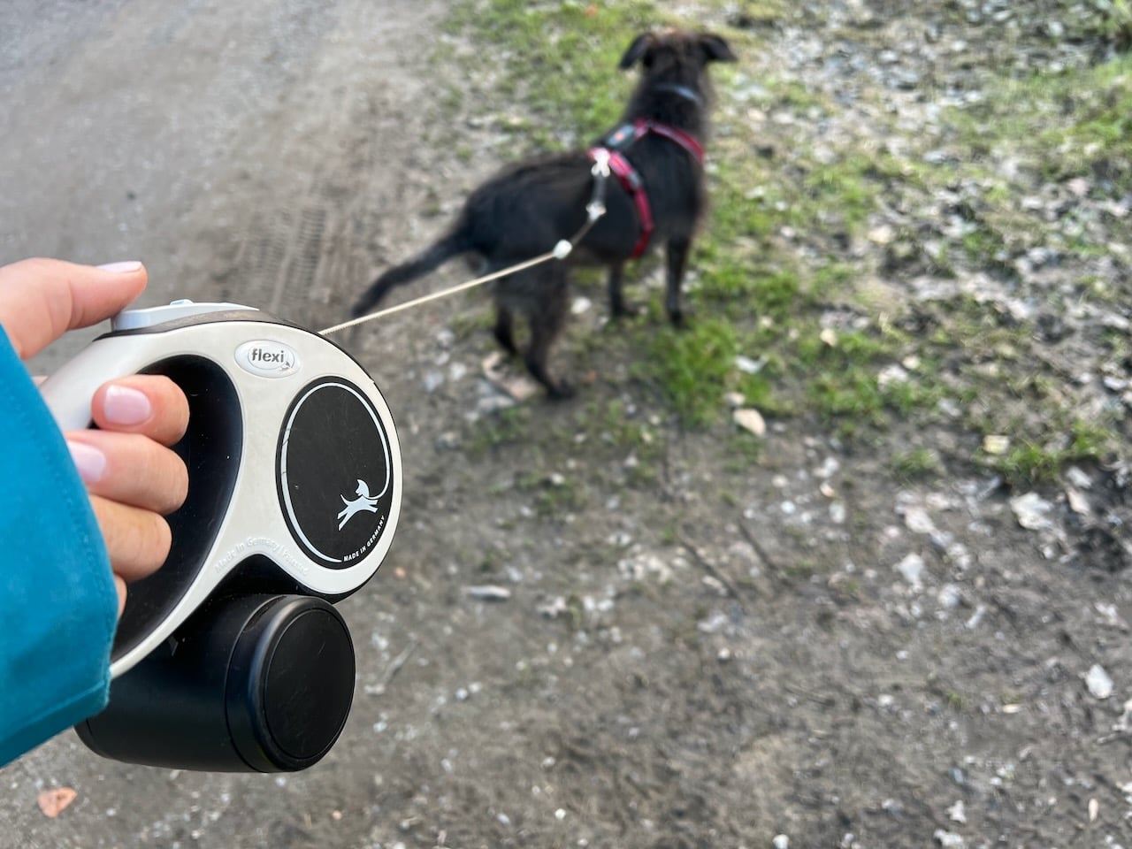 Flexileine New Comfort im Test