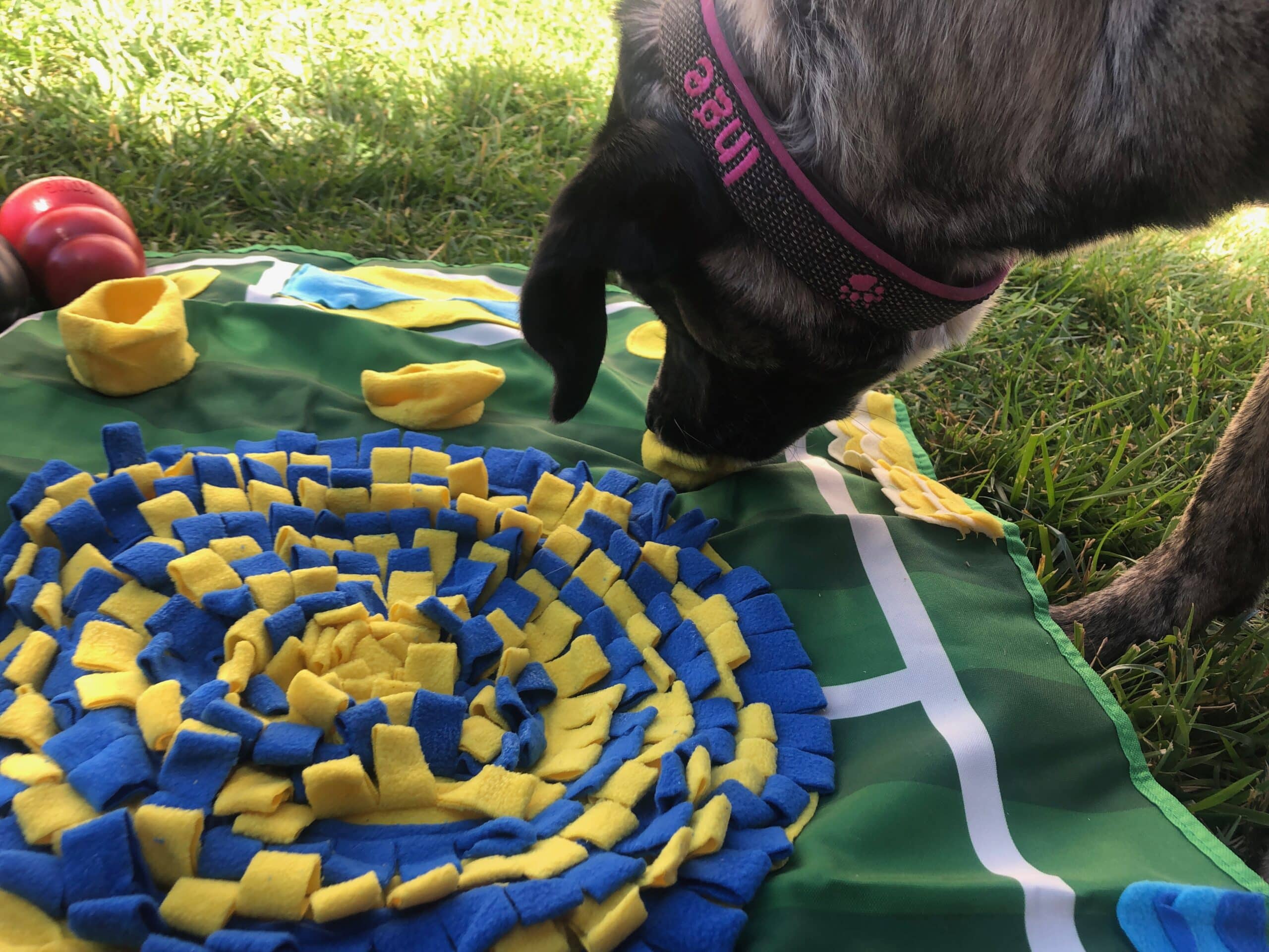 Youthink Schnüffelteppich im Test