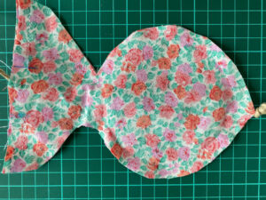 Fisch mit Nahtzugabe