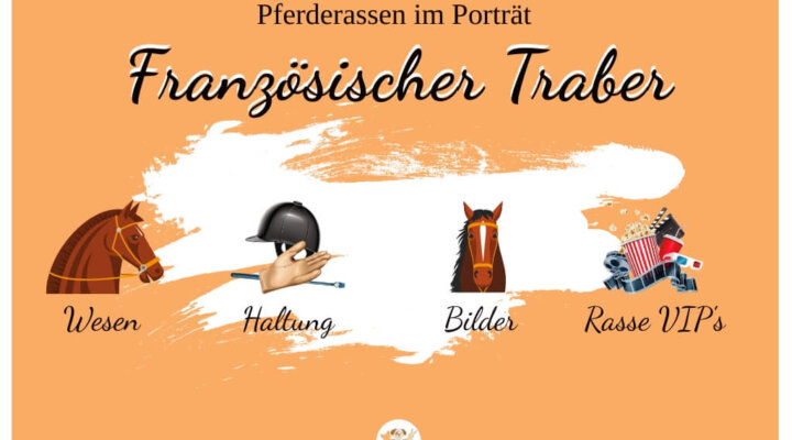 Französischer Traber