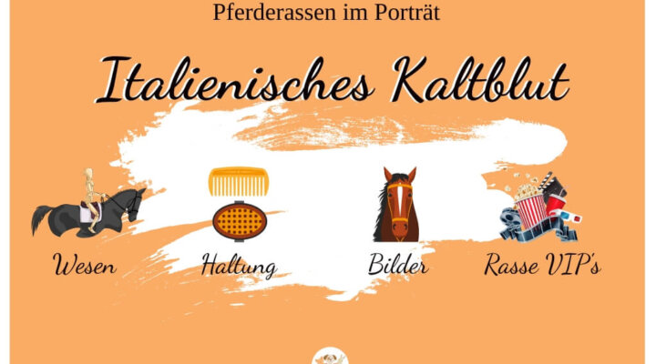 Italienisches Kaltblut