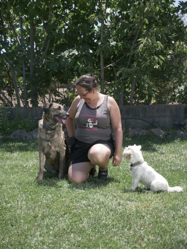 Im Sommer 2021 hatte Testhund-Profi Chief Hilfe von seiner bezaubernden kleinen Freundin Zoe.