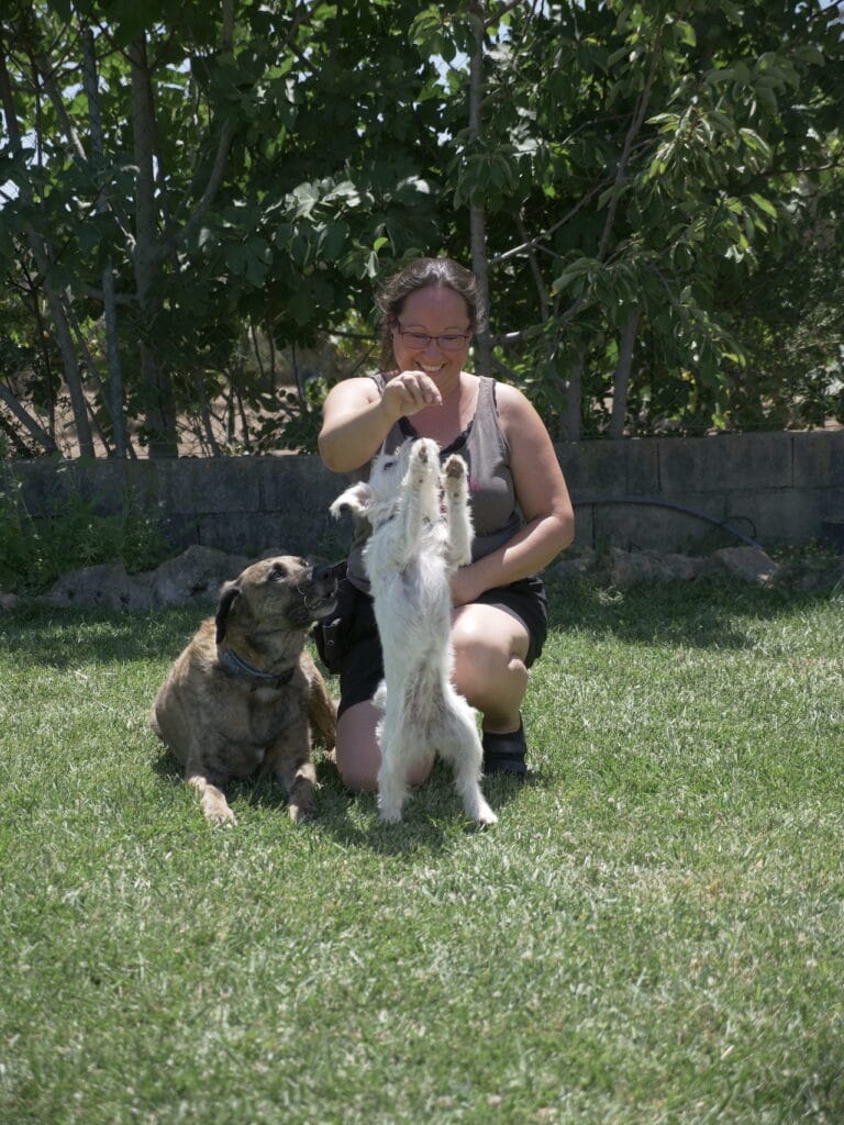 Testhund-Profi Chief mit Aushilfe Zoe und Frauchen Stefanie
