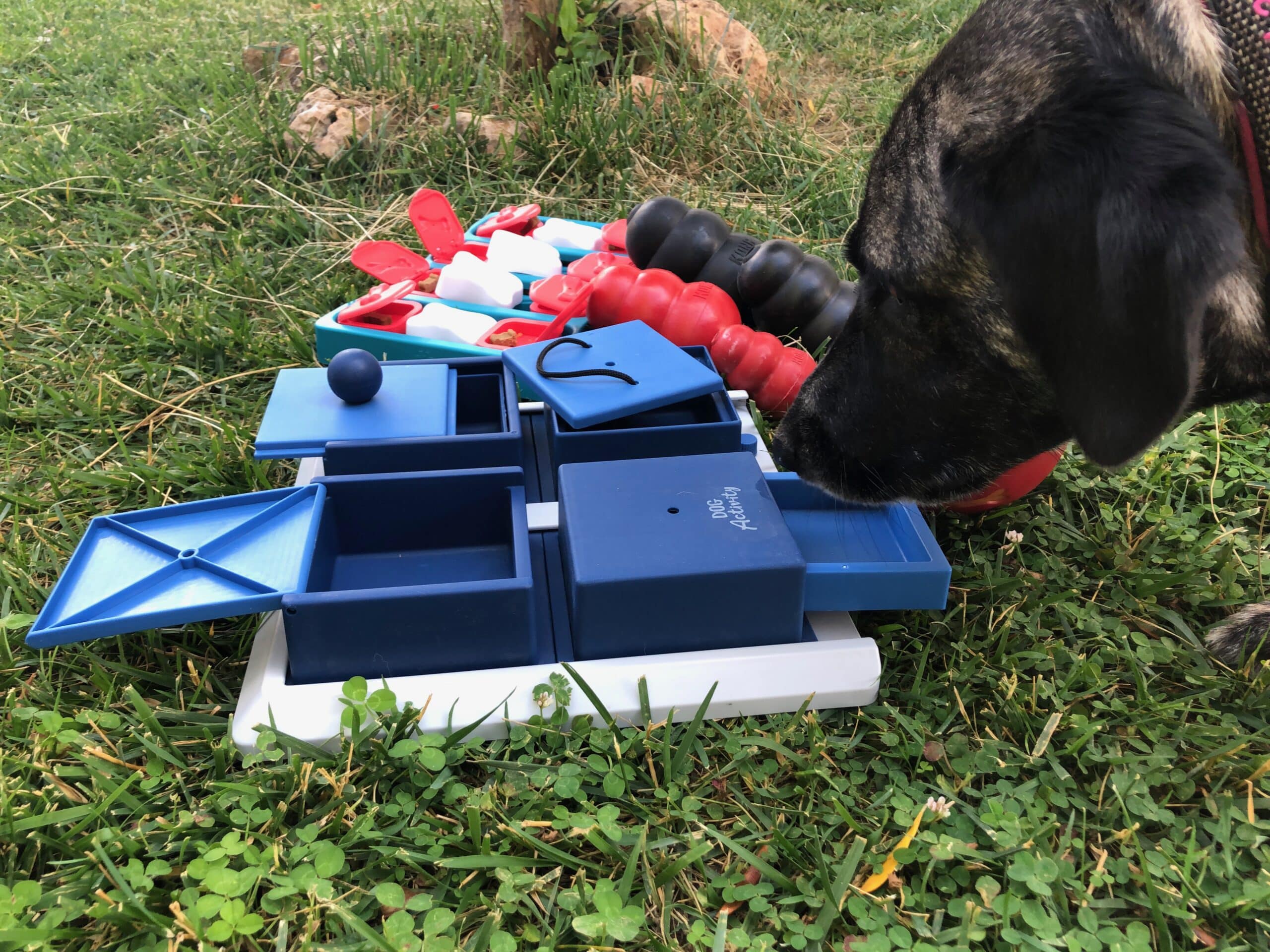 Dog Activity Poker Box 1 von TRIXIE im Test