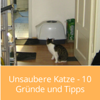 Unsaubere-katze