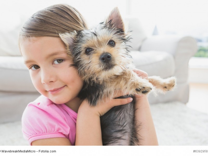 Für Kinder sind Yorkies nur bedingt geeignet, denn sie mögen es nicht als Spielzeug benutzt zu werden und machen dies sehr deutlich!