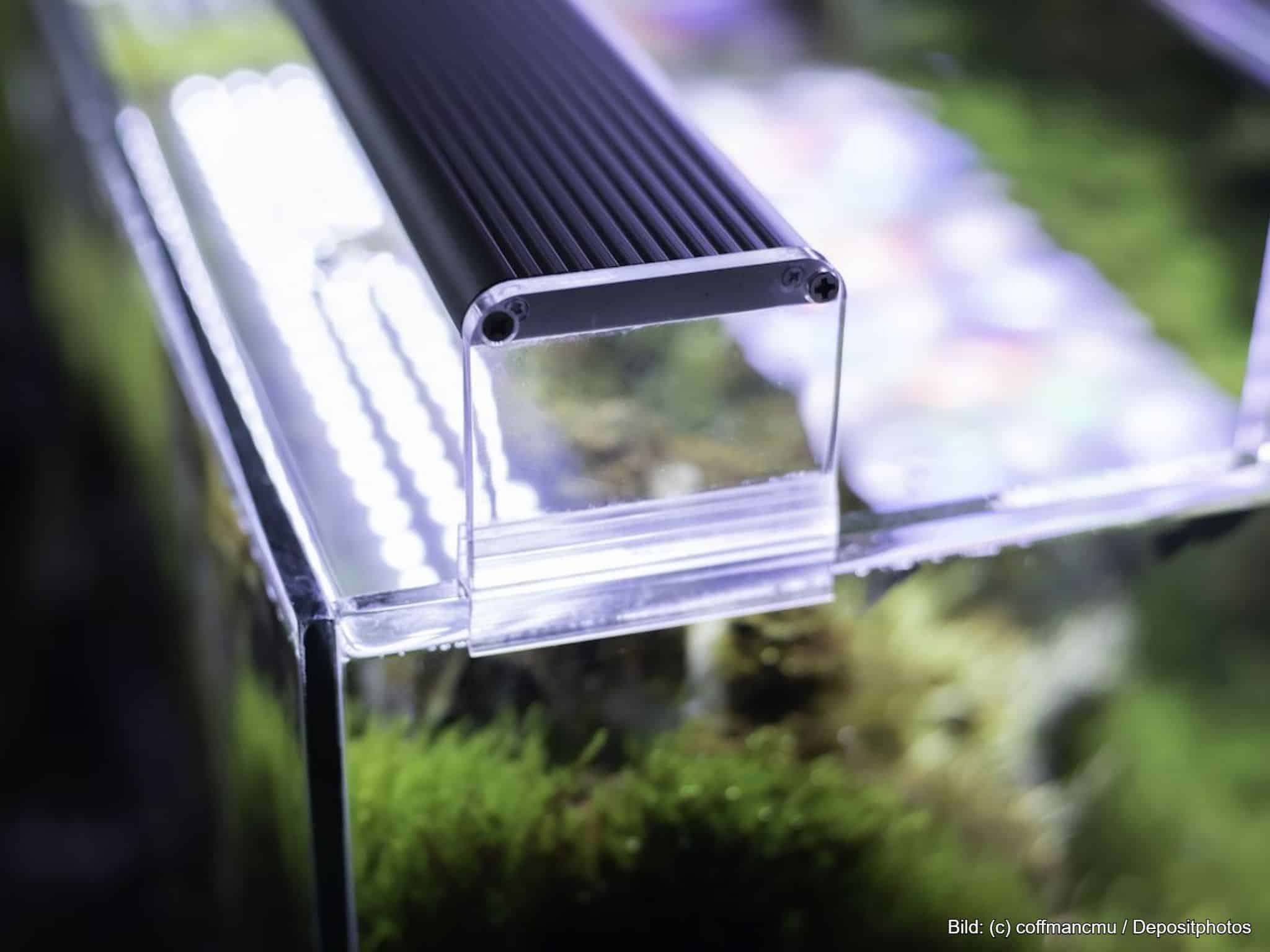 Aquarium-Beleuchtung für Pflanzen