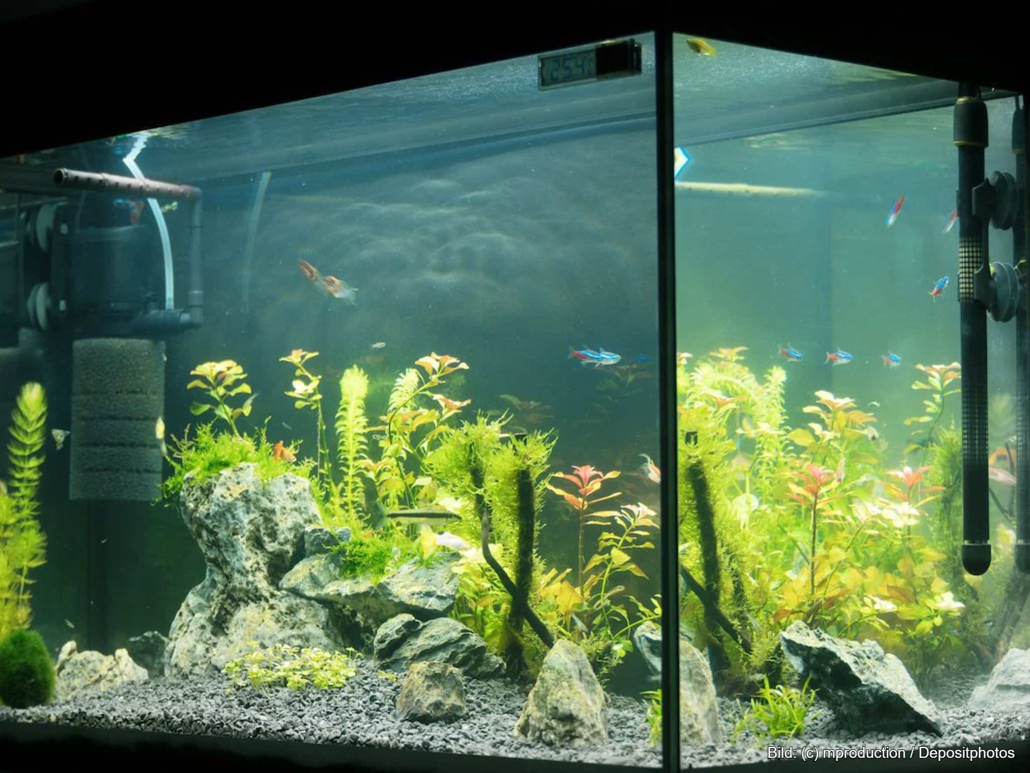 Aquarium-Filter Innenfilter