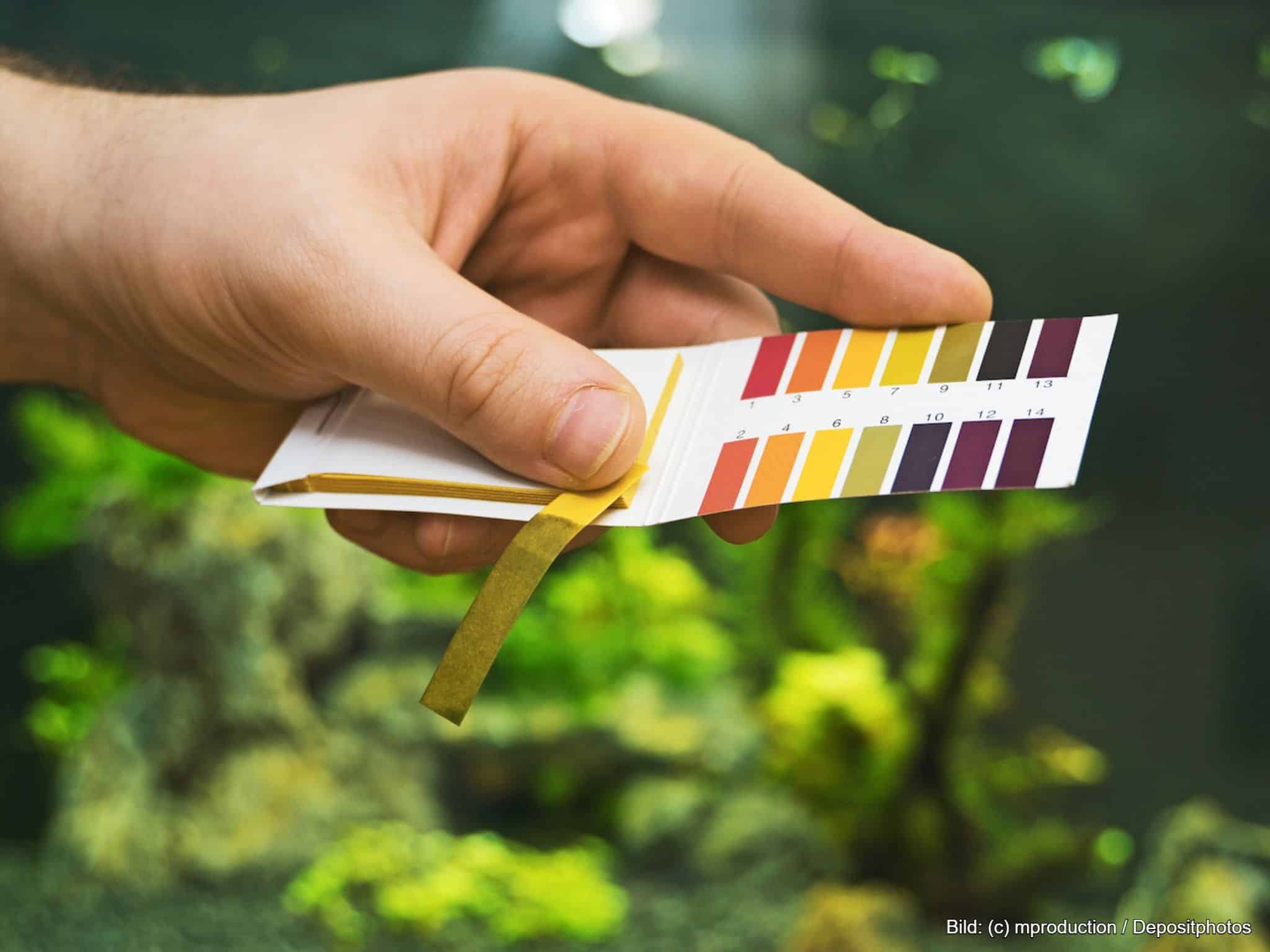 Aquarium-Wassertest pH Wert