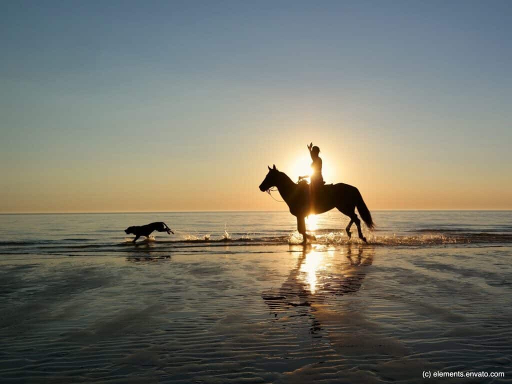 Das Glück der Erde liegt auf dem Rücken der - gesunden - Pferde.