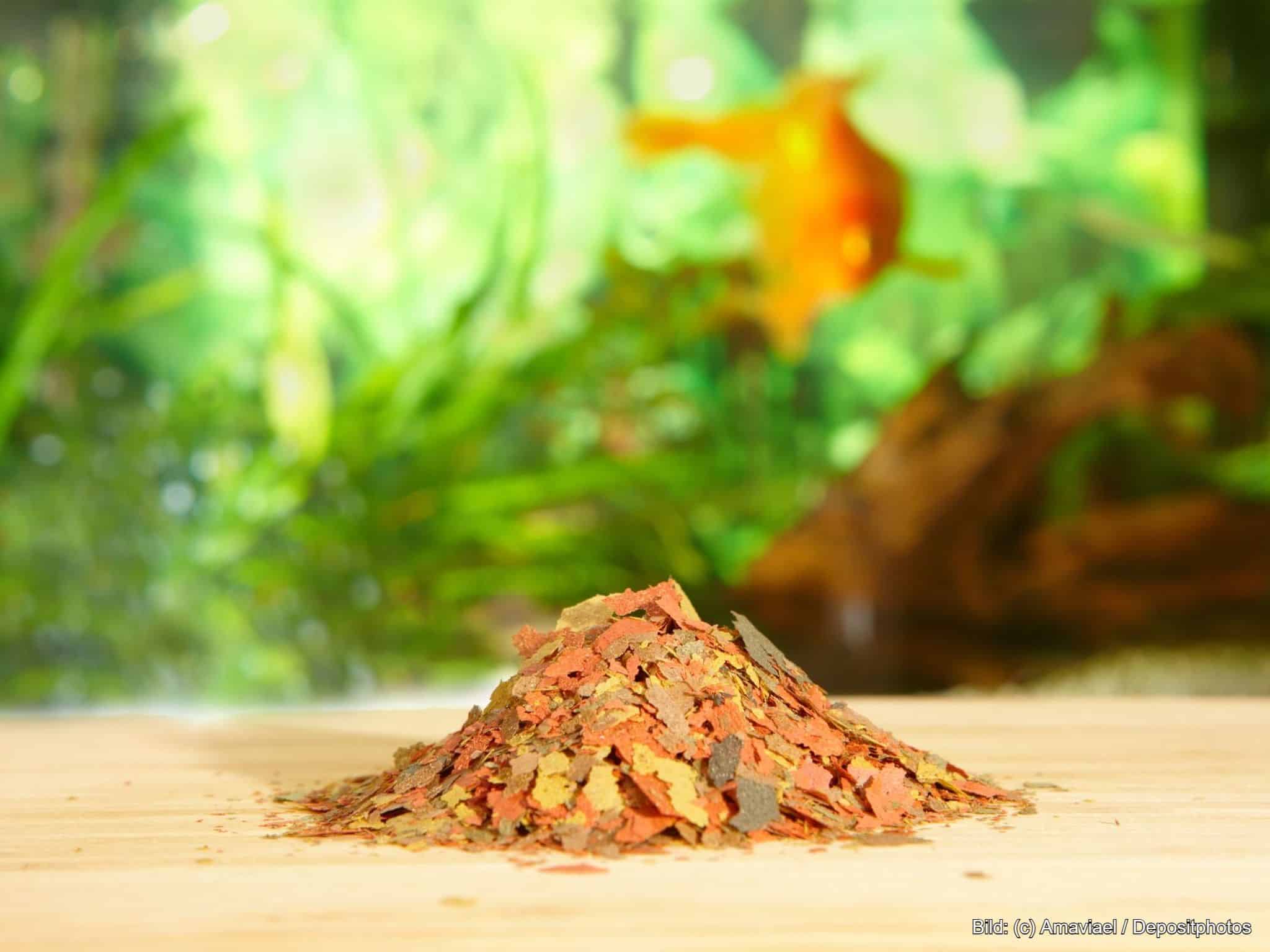 Fischfutter Aquarium