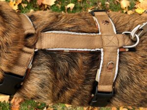 Hundegeschirr von oben.