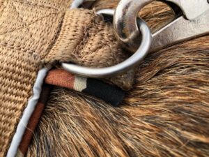 Haken für die Leine am Hundegeschirr.