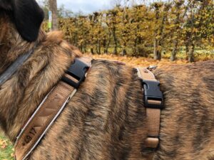 Verschlüsse des Hundegeschirrs.