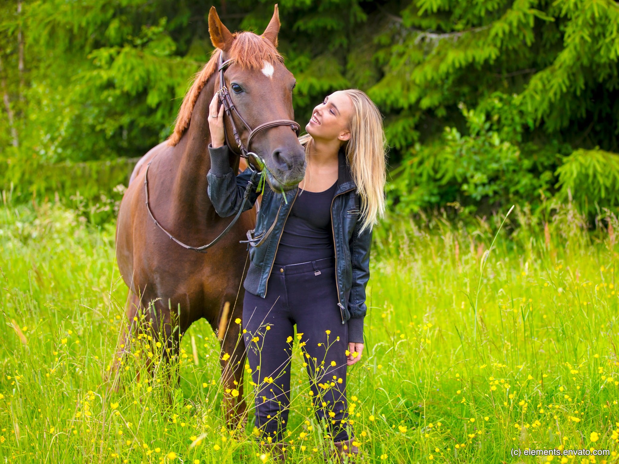 Eine junge Frau steht mit ihrem Pferd auf einer Wiese- Beschriftung lautet: Naturheilmittel für Pferde und Hunde kann sehr hilfreich sein.