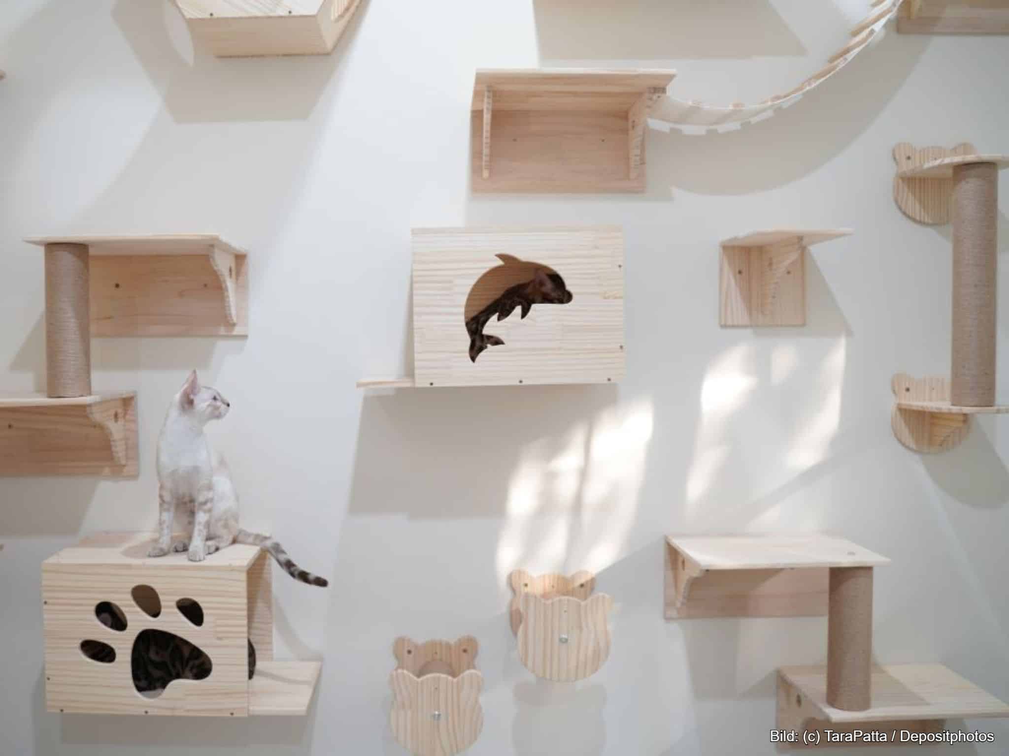 Kletterwand Katze aus Holz