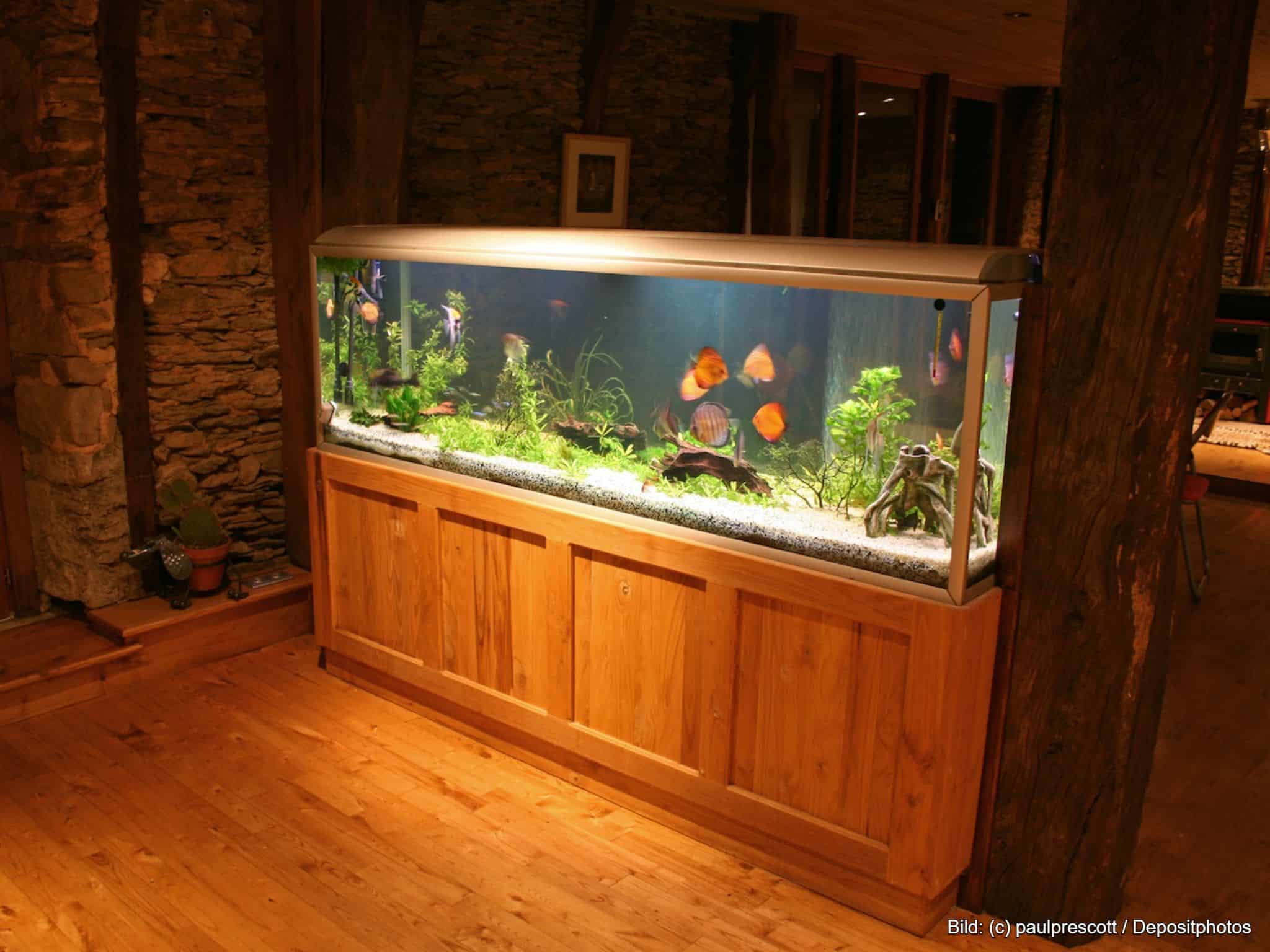 Aquarium Komplettset mit Unterschrank