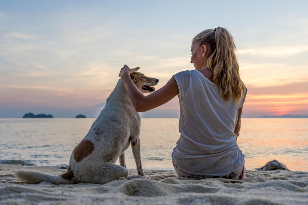 Eine Frau sitzt mit einem Hund am Strand im Sand. Im Hintergrund ist das Meer und der Sonnenuntergang zu sehen.
