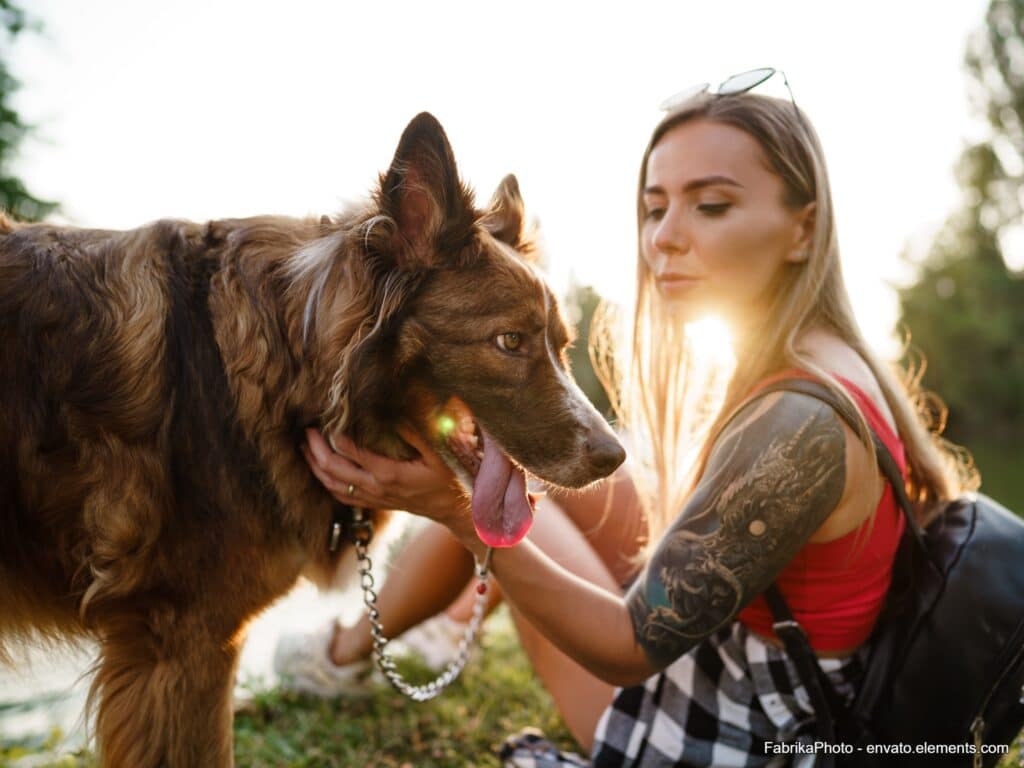 Training muss nicht immer nur in der Hundeschule stattfinden.